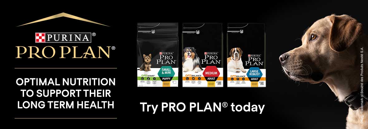 Purina Pro Plan Dog Medium Puppy