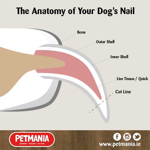How to cut black nails