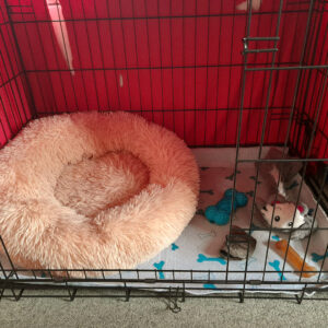 Small dog crate with a round bed, some toys and treats inside perfect for crate training
