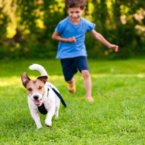 adolescent puppy and child owner playing together in a garden