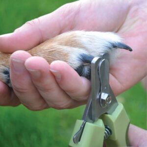 SAFARI Stainless Steel Nail Trimmer