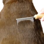 SAFARI Shedding Comb for Long Haired Breeds