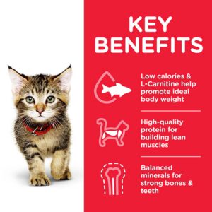 HILLS Kitten Chicken & Ocean Fish, Multipack Pouch 12x85g
