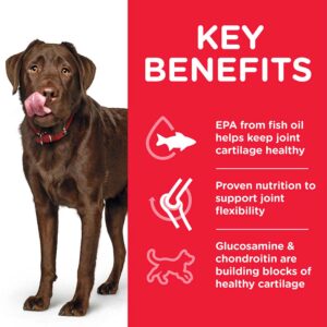 HILLS Healthy Mobility Adult Large Breed, 14kg