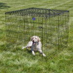 MIDWEST Wire Mesh Top for 36in Exercise Pen