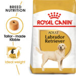 ROYAL CANIN Labrador Adult, 12kg
