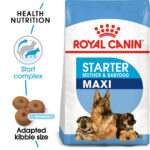 ROYAL CANIN Maxi Starter Mother & Baby Dog, 4kg
