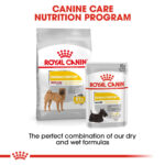ROYAL CANIN Medium Dermacomfort Care, 3kg