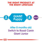 ROYAL CANIN Giant Puppy, 3.5kg