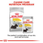 ROYAL CANIN Mini Dermacomfort Care, 3kg