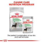 ROYAL CANIN Mini Digestive Care, 3kg