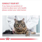 ROYAL CANIN Oral Care, 1.5kg