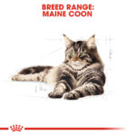ROYAL CANIN Maine Coon Adult, 2kg