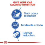 ROYAL CANIN Home Life Indoor, 400g