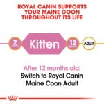 ROYAL CANIN Maine Coon Kitten, 2kg