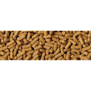 TETRA Wheatgerm Sticks, 1-litre/200g