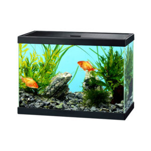 CIANO Aqua 15 Aquarium Black