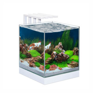 CIANO Nexus Pure 25 Aquarium with LED Light