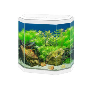 CIANO Aqua 30 Aquarium 25-Litre White