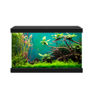 CIANO Aqua 20 Aquarium 17-litre LED Black