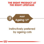 ROYAL CANIN Ageing (12+) Jelly Pouch, 85g