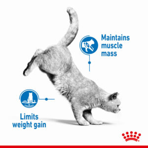 ROYAL CANIN Light Weight Care Gravy Pouch, 85g