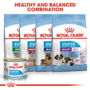 ROYAL CANIN Starter Mother & Babydog Can 195g