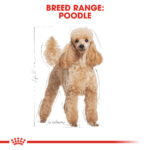 ROYAL CANIN Poodle Adult Pouch, 85g