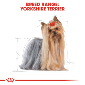 ROYAL CANIN Yorkshire Terrier Adult Pouch, 85g