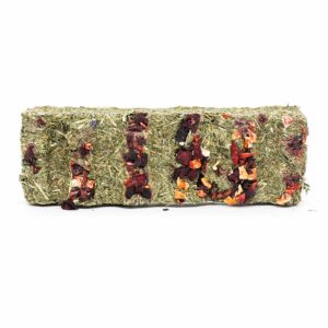 KOMODO Tortoise Vegetable Snack Bar