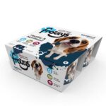 FROZZYS Frozen Yogurt 4 pack, Blueberry