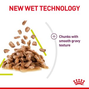 ROYAL CANIN Sensory Cat Food, Smell