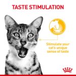 ROYAL CANIN Sensory Cat Food, Taste