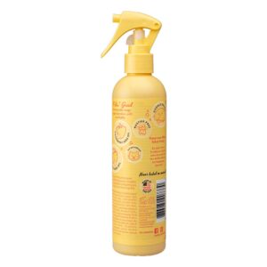 PET HEAD Dry Clean Spray for Cats, 300ml