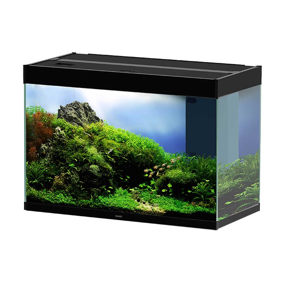 Buy Fish Tanks • CIANO En 80 Black Aquarium • Petmania