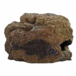 BETTA Fossil Rock, Small