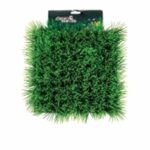 BETTA Dwarf Hairgrass Mat for Aquariums