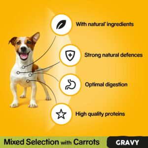 PEDIGREE Mixed Selection with Carrots in Gravy Pouch, 12x100g