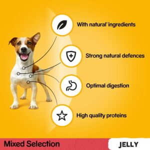 PEDIGREE Mixed Selection in Jelly Pouch, Megapack 40 for the price of 36