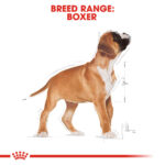 ROYAL CANIN Boxer Puppy, 12kg