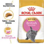 ROYAL CANIN British Shorthair Kitten, 2kg