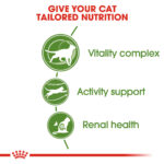 ROYAL CANIN Active Life Outdoor 7+, 400g