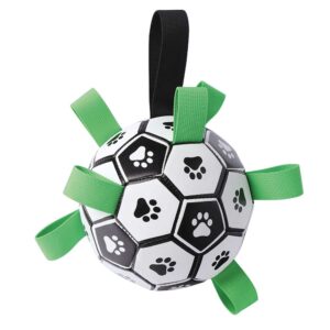 M-PETS Soccer Ball with Pump