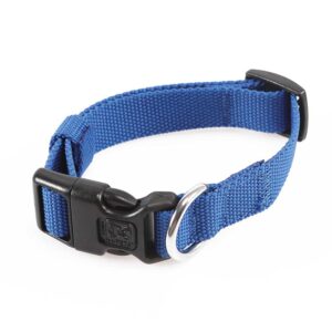 Small: 20-30 cm