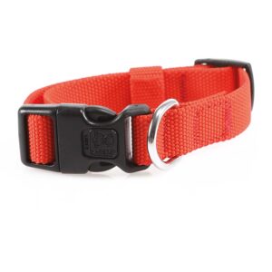 Small: 20-30 cm