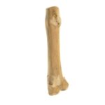 IMAC Java Bone Chew Toy, Small