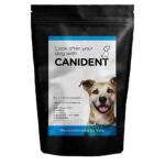 CANIDENT Seaweed Dental Supplement, 150g