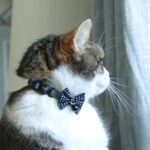 SAFE CAT Embellished Collar, Polka Dot Bow