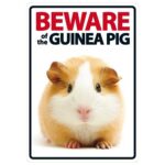 Beware of the Guinea Pig Sign