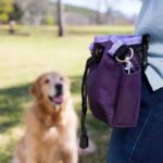 COA Treat Bag, Purple